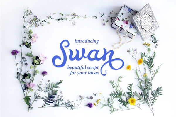 The Art of Handwritten Elegance: Understanding Swan's Fluid Calligraphy